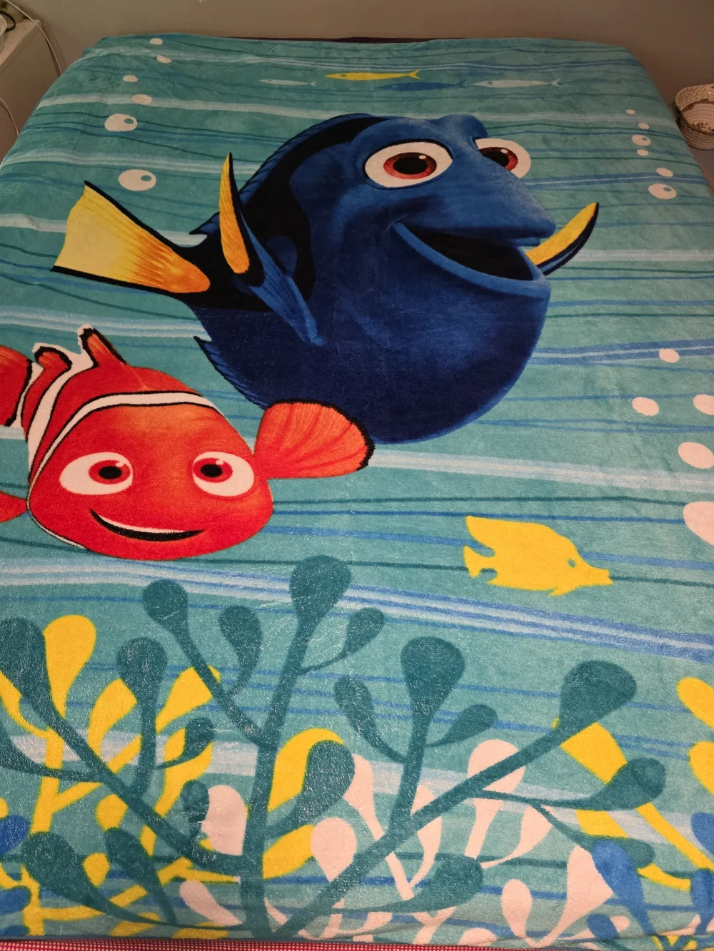 Disney Pixar Finding Dory Finding Nemo Blanket Throw 82